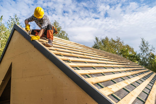 Best Roof Repair Services  in Judsonia, AR